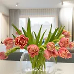 Apartament Haus Apartment#luxury Residential#balcony#free Parking *