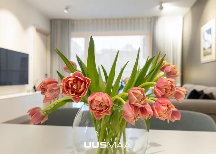 公寓 Haus Apartment#luxury Residential#balcony#free Parking *